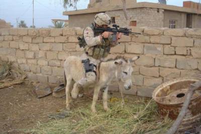 chof_weskot              awla ..............